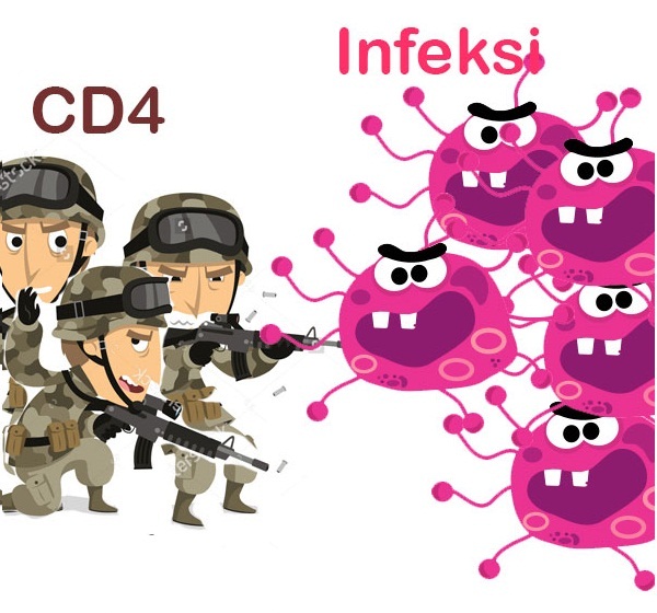 CD4 adalah Prajurit Yang Melawan Virus